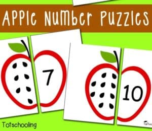 apple activity fall activity - kid activity #preschool #craftsforkids amorecraftylife.com