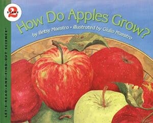 Apple Book - Letter A Activities - Preschool kid craft - amorecraftylife.com #preschool