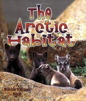 arctic animal book- arts and crafts activities - winter animal kid craft- amorecraftylife.com #kidscraft #craftsforkids #preschool