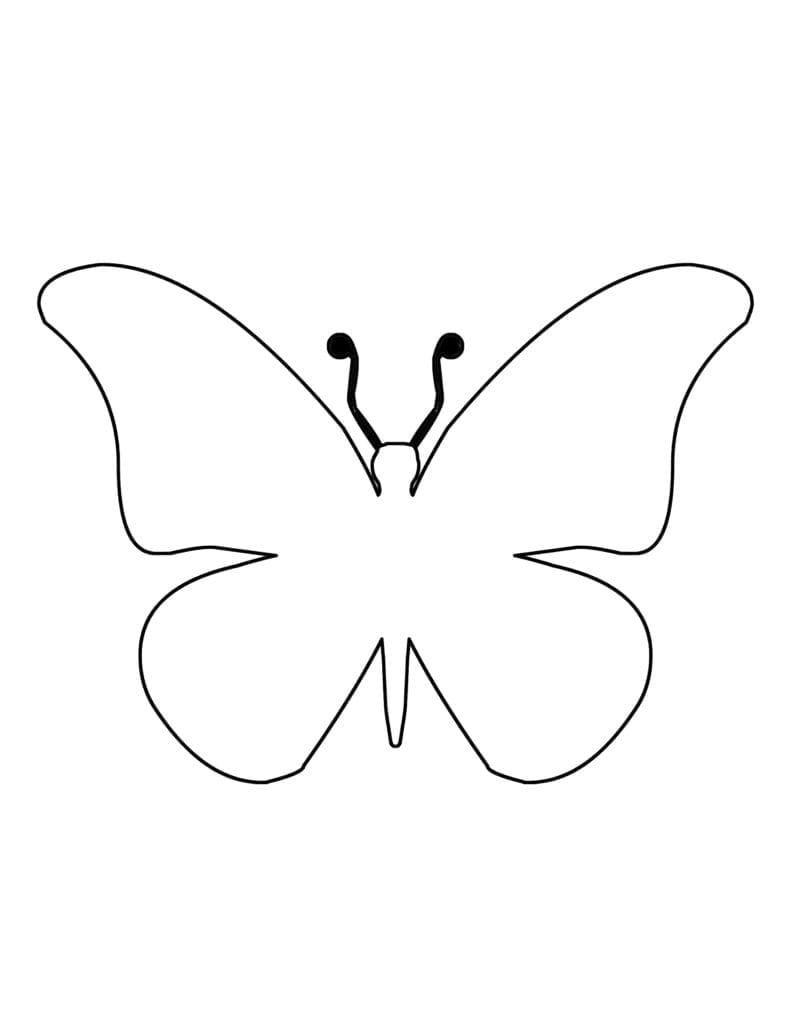 Butterfly Template to Color   Free Printable   A Crafty Life