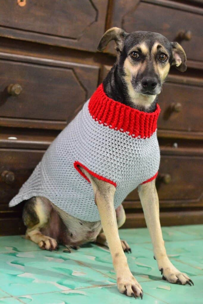 10 Cute Crochet Patterns for a Dog Sweater - A More Crafty Life
