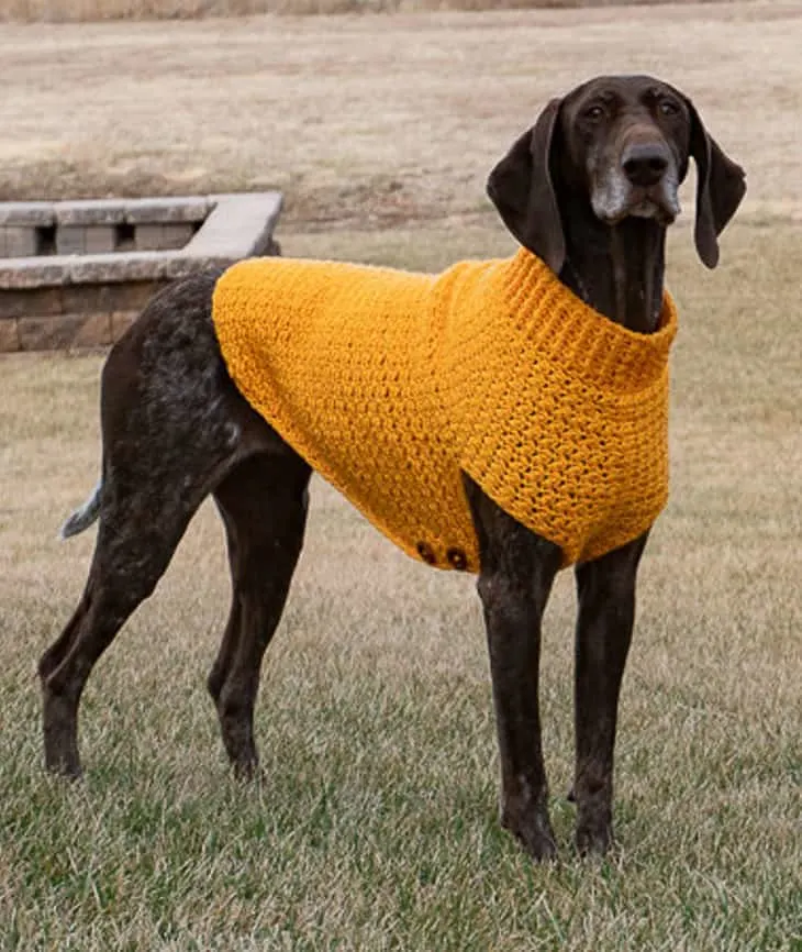 large dog sweater crochet pattern #crochet #crochetpattern