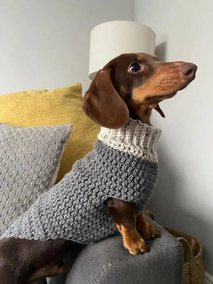 small crochet pattern for dog sweater #crochet #crochetpattern 