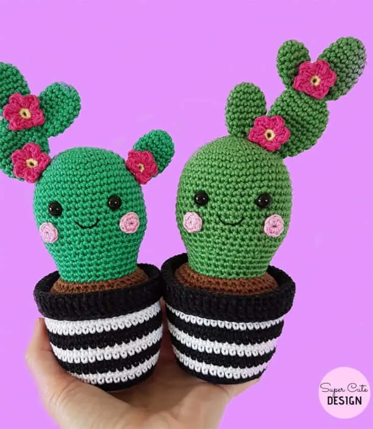 Make your own cute crochet cactus plant. There are lots of different ideas to try.
