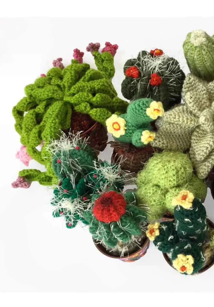Try this pattern. It has lots of different cactus patterns for you to try.