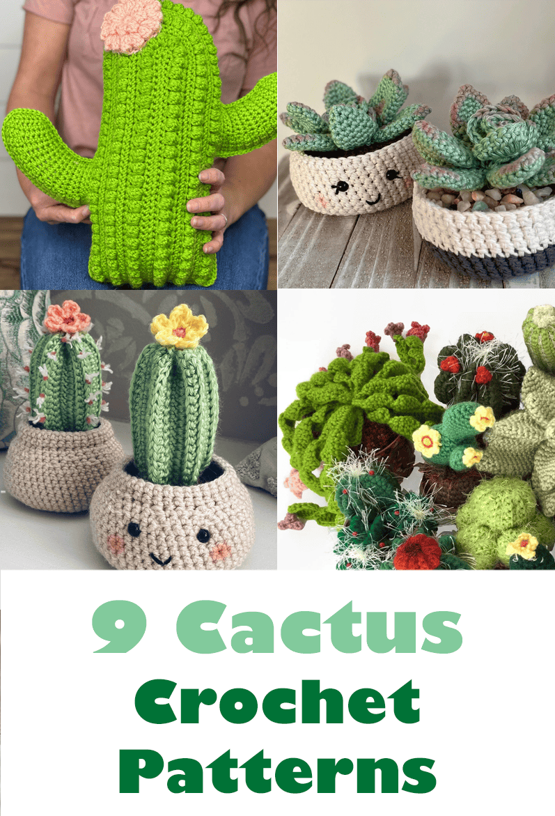 10 Cute Crochet Cactus Patterns to Make – Amigurumi - A More Crafty Life