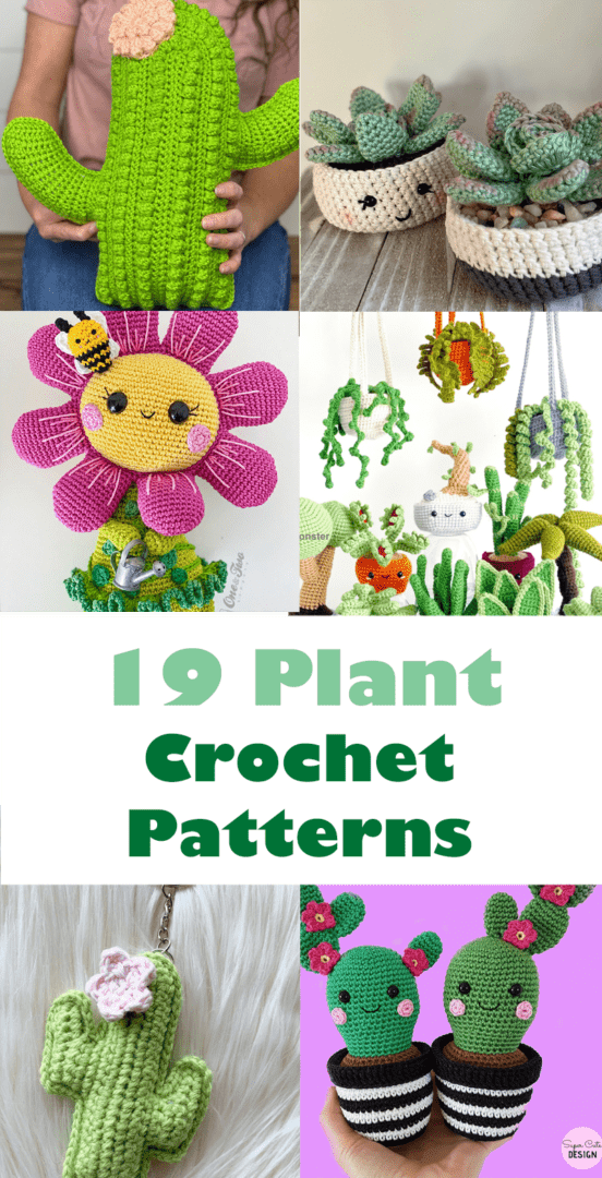 19 Cute Crochet Plant Patterns to Make - Fun Amigurumi - A More Crafty Life