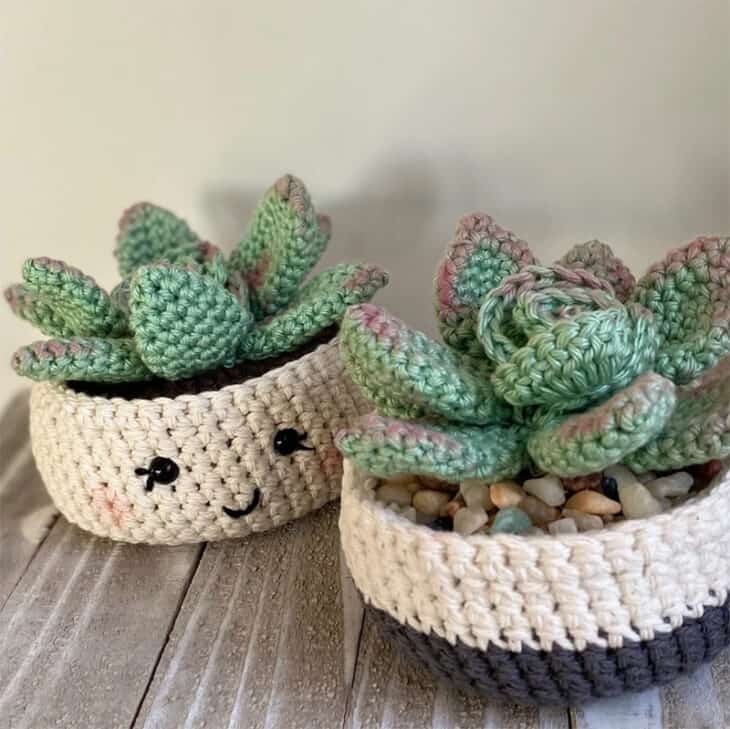 Make your own fun succulents with this pattern.
