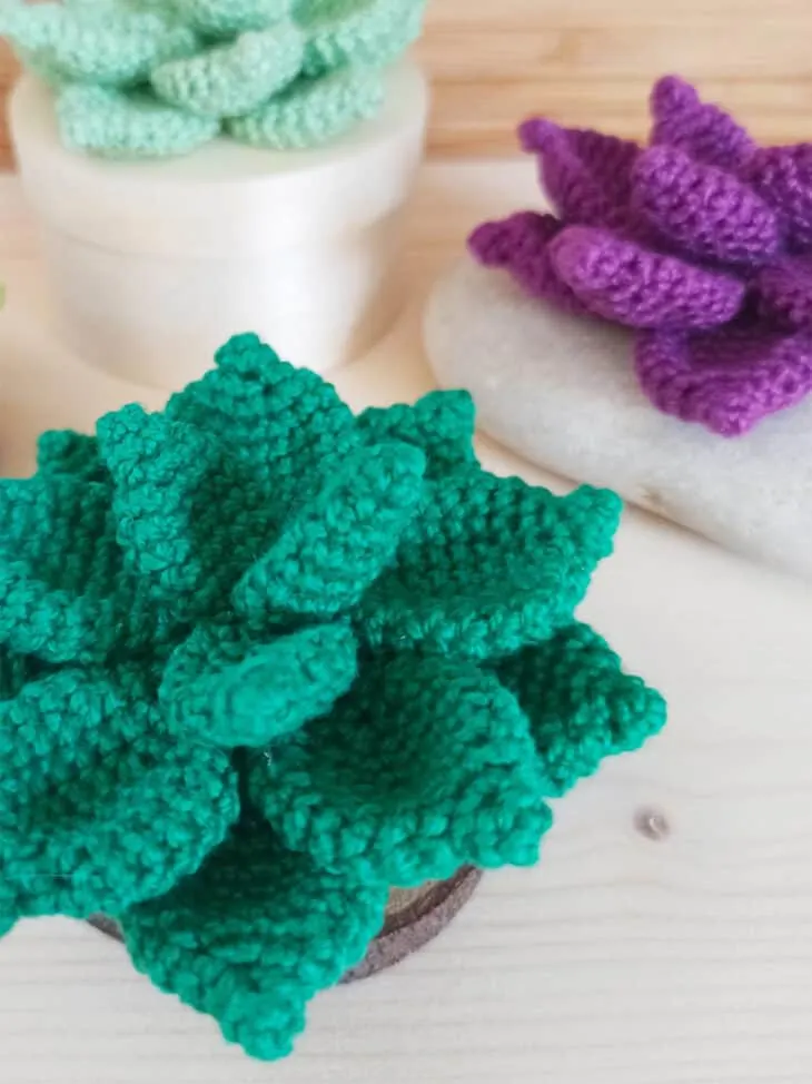 Make your own crochet succulents in whatever color you want.