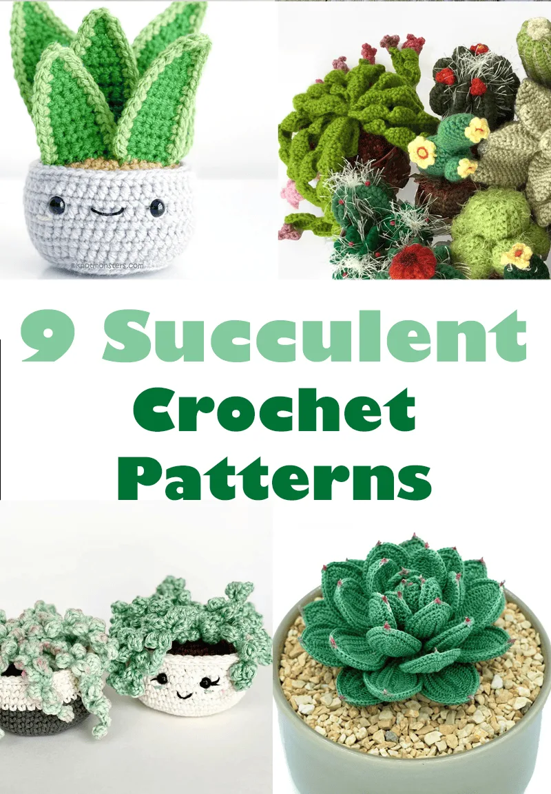 Make your own cute crochet succelent.